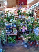 「花繪　はなえ」　（静岡県御殿場市）の花屋店舗写真2